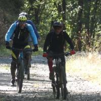 2023 vtt 428 