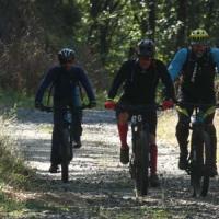 2023 vtt 429 