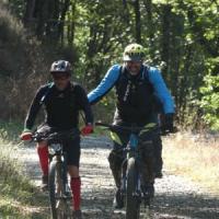 2023 vtt 430 