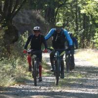 2023 vtt 431 