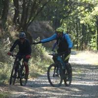 2023 vtt 432 