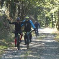 2023 vtt 433 