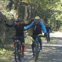 2023 vtt 434 