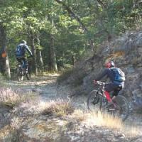 2023 vtt 436 
