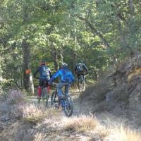 2023 vtt 437 