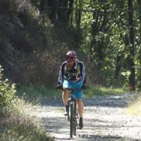 2023 vtt 438 