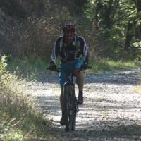 2023 vtt 439 