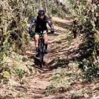 2023 vtt 44 