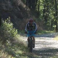 2023 vtt 440 