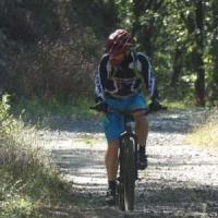 2023 vtt 441 