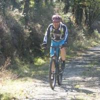 2023 vtt 442 