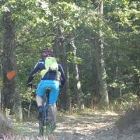 2023 vtt 444 