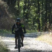 2023 vtt 445 