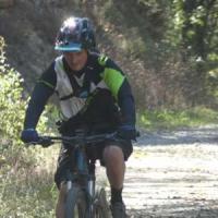 2023 vtt 447 