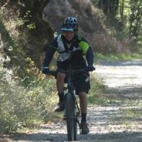 2023 vtt 448 