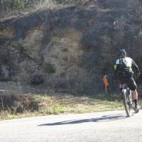 2023 vtt 449 