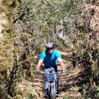 2023 vtt 45 
