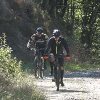 2023 vtt 451 