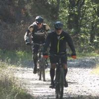 2023 vtt 452 
