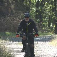 2023 vtt 453 