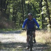 2023 vtt 462 
