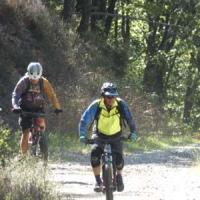 2023 vtt 468 