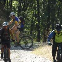 2023 vtt 469 