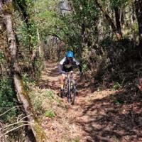 2023 vtt 47 