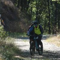 2023 vtt 470 