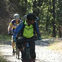 2023 vtt 471 