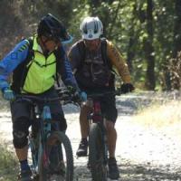 2023 vtt 472 