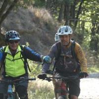 2023 vtt 475 