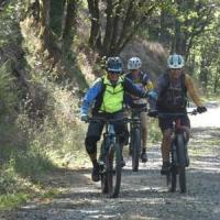2023 vtt 477 
