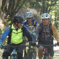 2023 vtt 478 