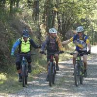 2023 vtt 479 