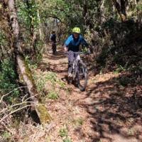 2023 vtt 48 
