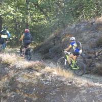 2023 vtt 482 