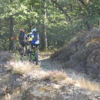 2023 vtt 483 