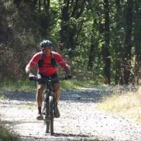 2023 vtt 484 