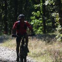 2023 vtt 485 