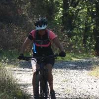 2023 vtt 491 