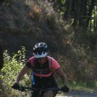 2023 vtt 492 