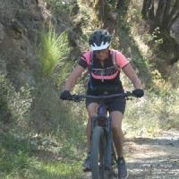 2023 vtt 494 