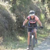 2023 vtt 495 
