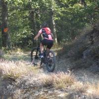 2023 vtt 497 