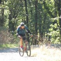 2023 vtt 498 