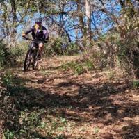 2023 vtt 5 