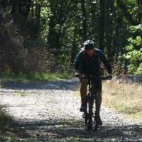 2023 vtt 501 