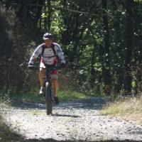 2023 vtt 506 