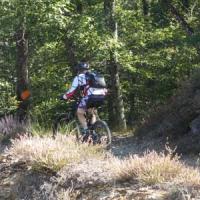 2023 vtt 514 